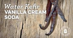 Water Kefir Vanilla Cream Soda