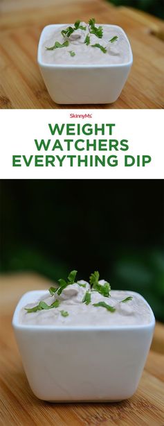 Weight Watchers Everything Dip