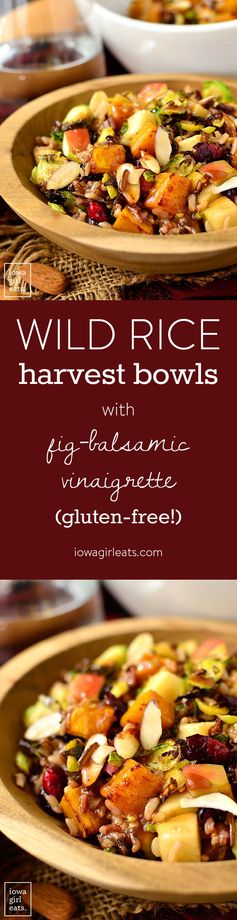 Wild Rice Harvest Bowls with Fig Balsamic Vinaigrette