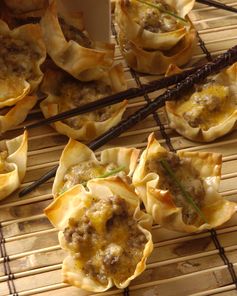 Wonton Sausage Appetizers