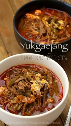 Yukgaejang (Korean Spicy Beef Stew